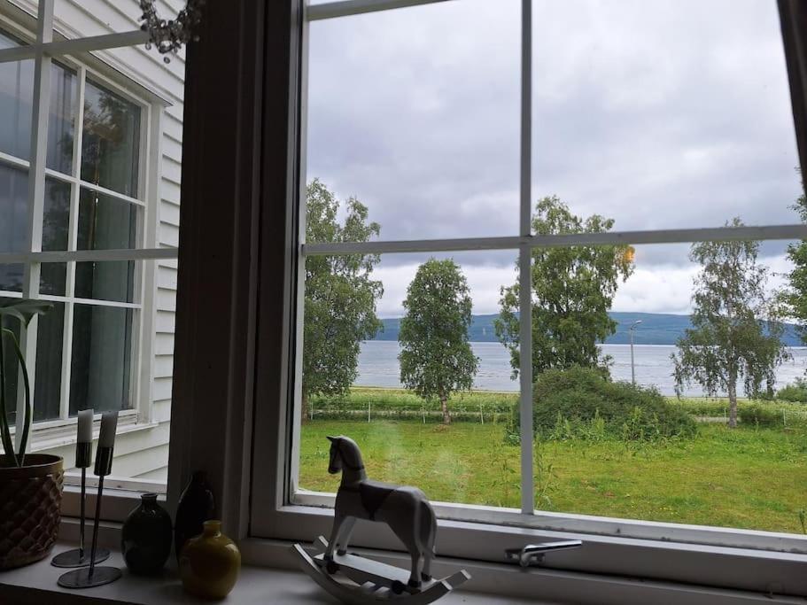 Privat Leilighet Pa Gard Med Badstue Og Nordlys Narvik Esterno foto