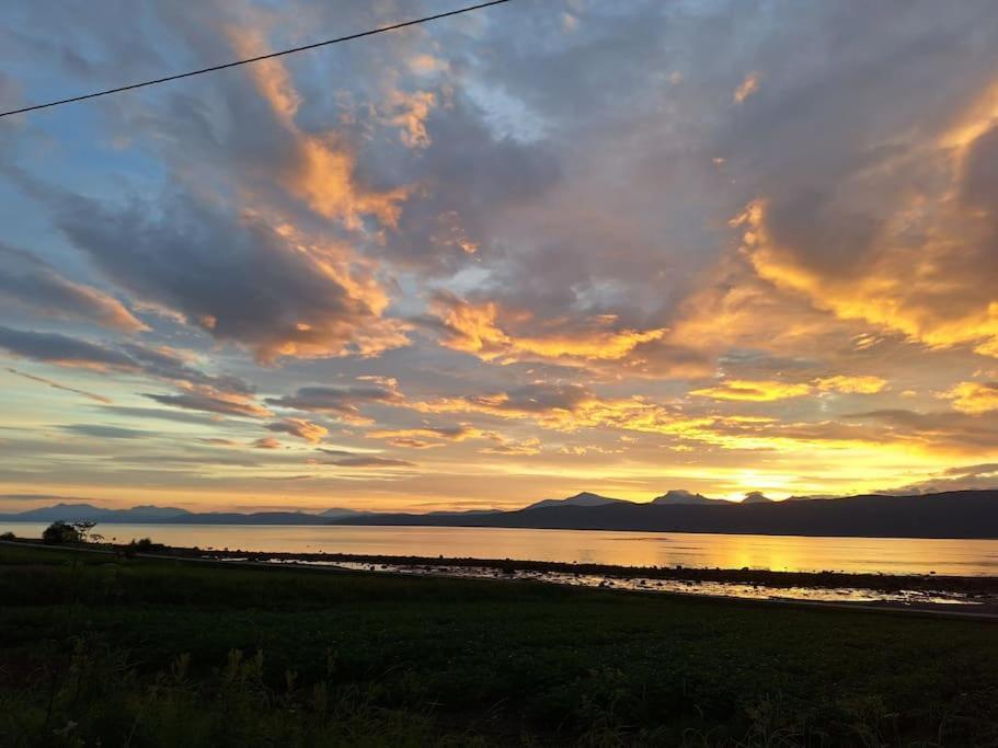 Privat Leilighet Pa Gard Med Badstue Og Nordlys Narvik Esterno foto