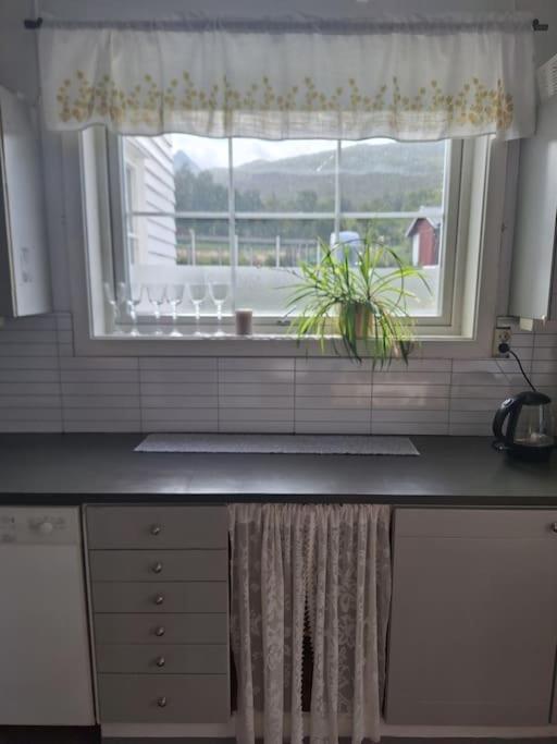 Privat Leilighet Pa Gard Med Badstue Og Nordlys Narvik Esterno foto